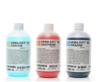 Diff Quick™ Stain