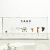 꽃 표본 7종 R