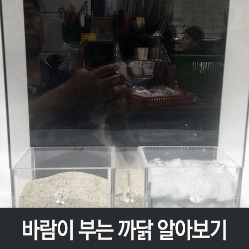 (금성출판사) <고급형> 바람이 부는 까닭 알아보기
