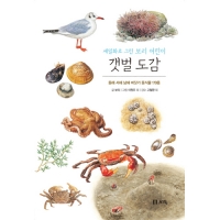세밀화로 그린 보리 어린이 갯벌도감