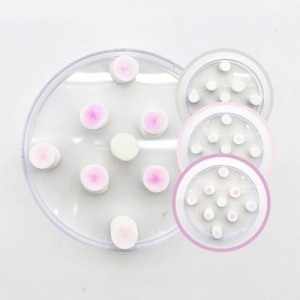 암모니아 확산관찰 (5인용)