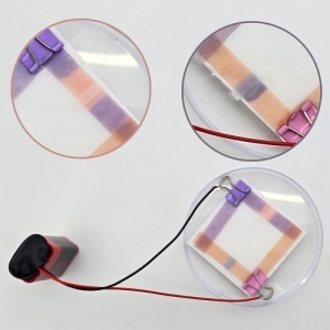 산 염기 이온의 이동 (1인용)