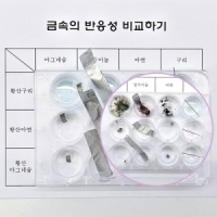 금속의 반응성 비교하기 (1인용)