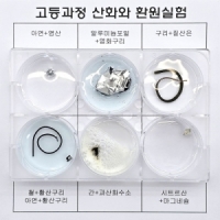 고등과정 산화와 환원실험 (1인용)