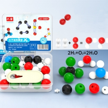 화학분자구조모형(LX-0601)