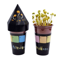 꼬깔 콩나물 키우기