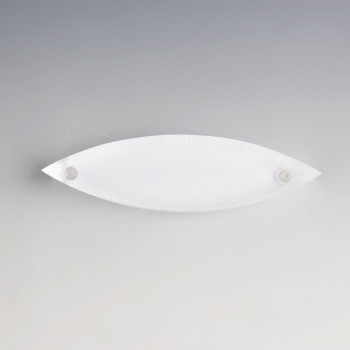 마그네틱 볼록렌즈