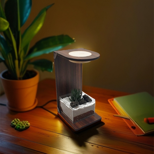 LED 조명 식물 테라리움