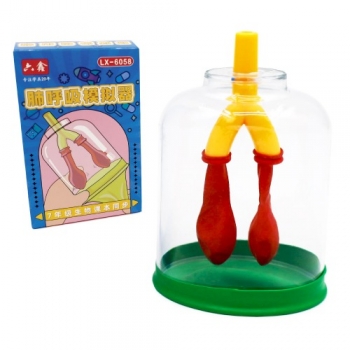 폐 호흡 모형(실험기) 만들기