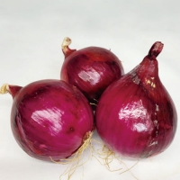 붉은양파(1kg)