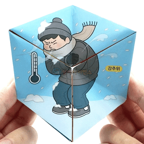 칼레이도사이클(기후변화)(5인 세트)