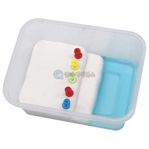 해수면 상승 피해 모형실험(점토)(1인용 포장)