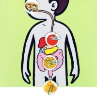 음식물 소화과정 실험키트