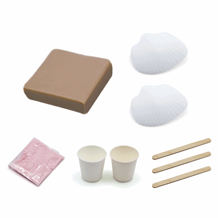 26Y [만지락유토]를 이용한 백색조개 화석모형 만들기 (2인용)