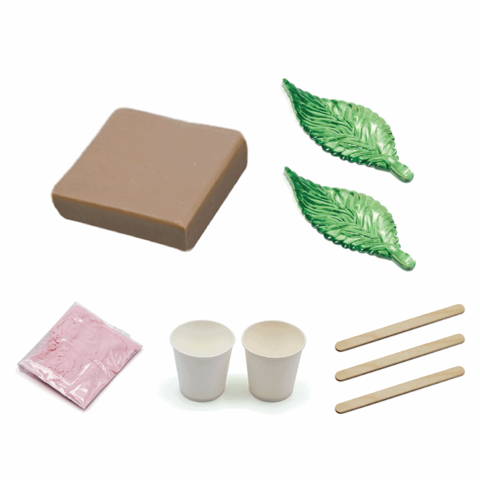 26Y [만지락유토]를 이용한 나뭇잎 화석모형 만들기 (2인용)