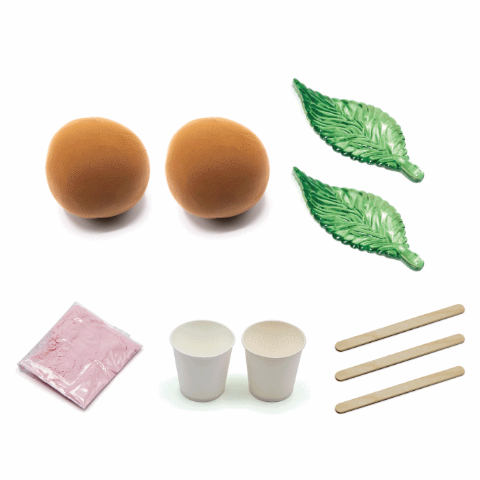 26Y [클레이(점토)]를 이용한 나뭇잎 화석모형 만들기 (2인용)