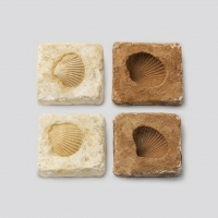 (아이스크림)화석 모형 만들기(2인용)