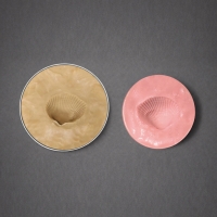 (미래엔)화석 모형 만들기(2인용)