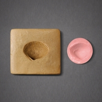 (지학사)화석 모형 만들기(2인용)