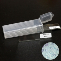 옥수수줄기 횡단면 프레파라트(2개)