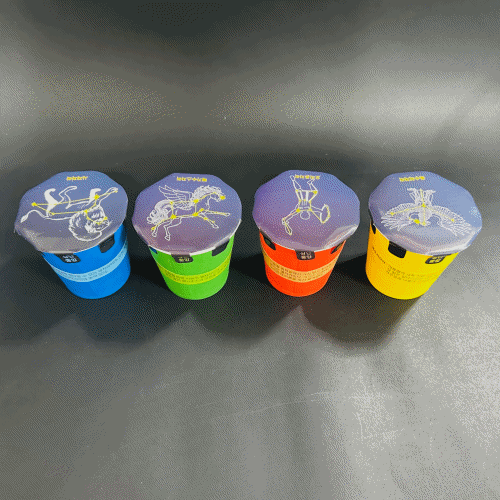 (천재교과서)별자리투영기만들기(4인용)