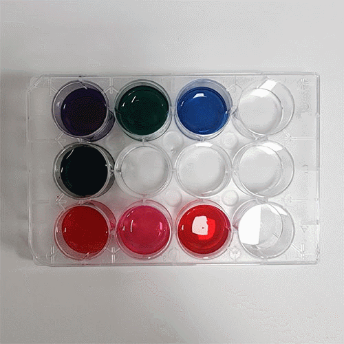 자주색양배추분말(지시약 제조용)