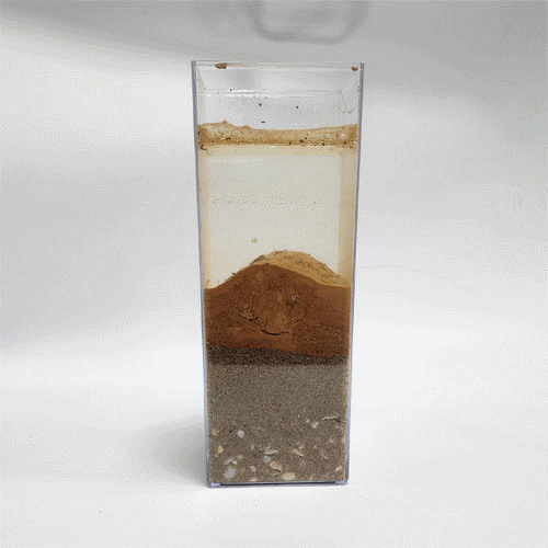 (아이스크림)지층 모형 만들기