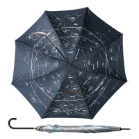 계절별 별자리 우산