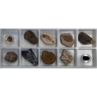 천재교과서_초등화석10종