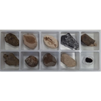 미래앤_초등화석10종