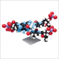 Molymod 3D 2층 DNA 분자모형 MKS-122-2