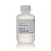 트립신 0.25%(Trypsin)