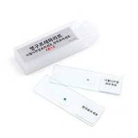 사철나무잎.양파표피 2종 1조[프레파라트]