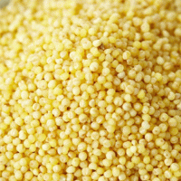 기장쌀/조/메조(1kg)