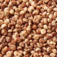 수수(1kg)
