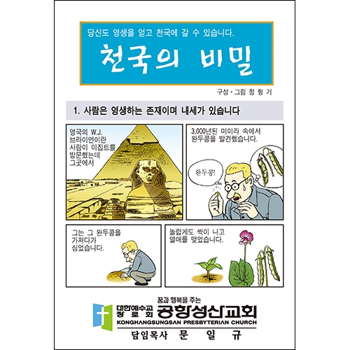 합판 전도지천국의 비밀6p(기본수량 4,000매)