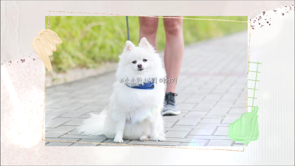 intro19 : 아트, 영화