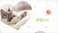 intro31 : 고양이, 브이로그