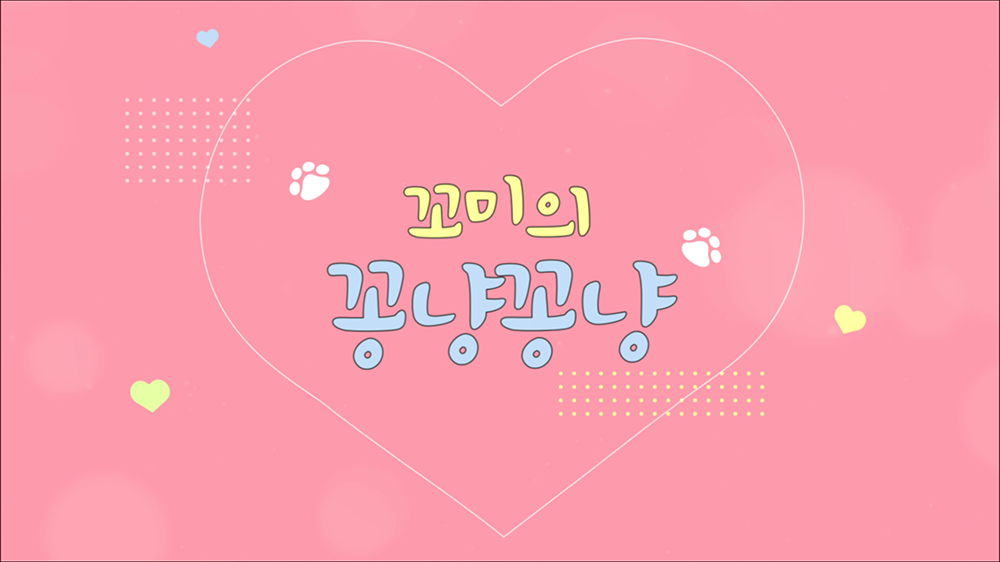 intro31 : 고양이, 브이로그