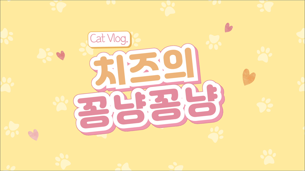 intro33 : 반려동물, 커플