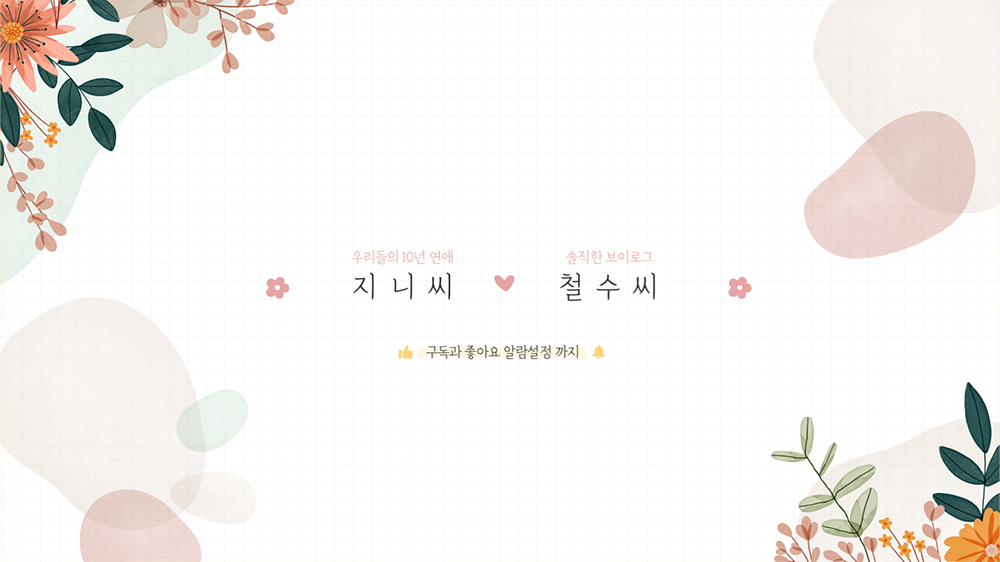 intro34 : 커플, 브이로그