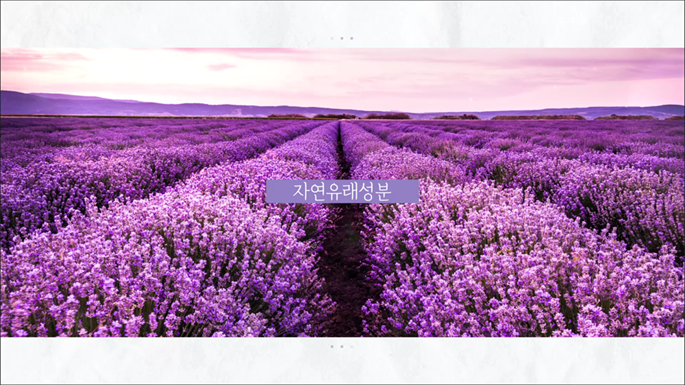 video02 : 화장품, 약품