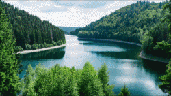 video17 : 제품, 서비스