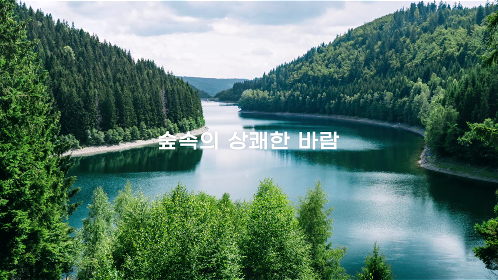 video17 : 제품, 서비스