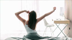 video38 : 제품, 이불