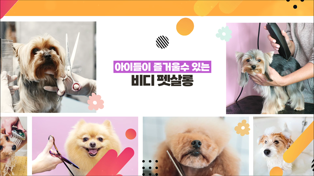 video41 : 펫, 애완동물