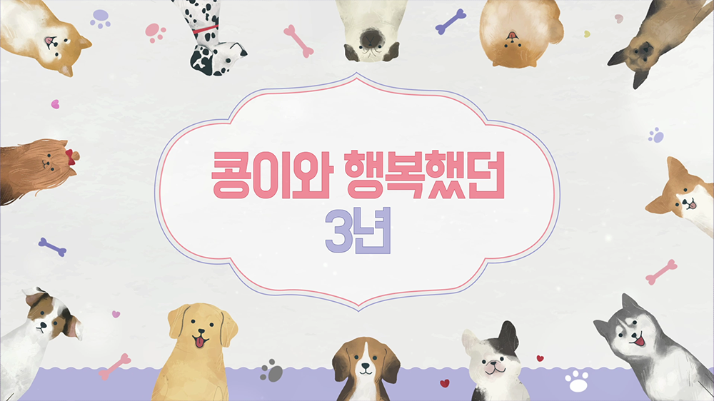 slide36 : 반려동물, 수의사