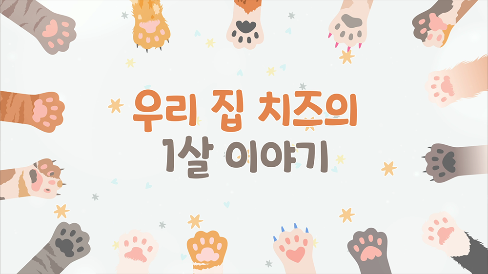 slide38 : 반려동물, 고양이