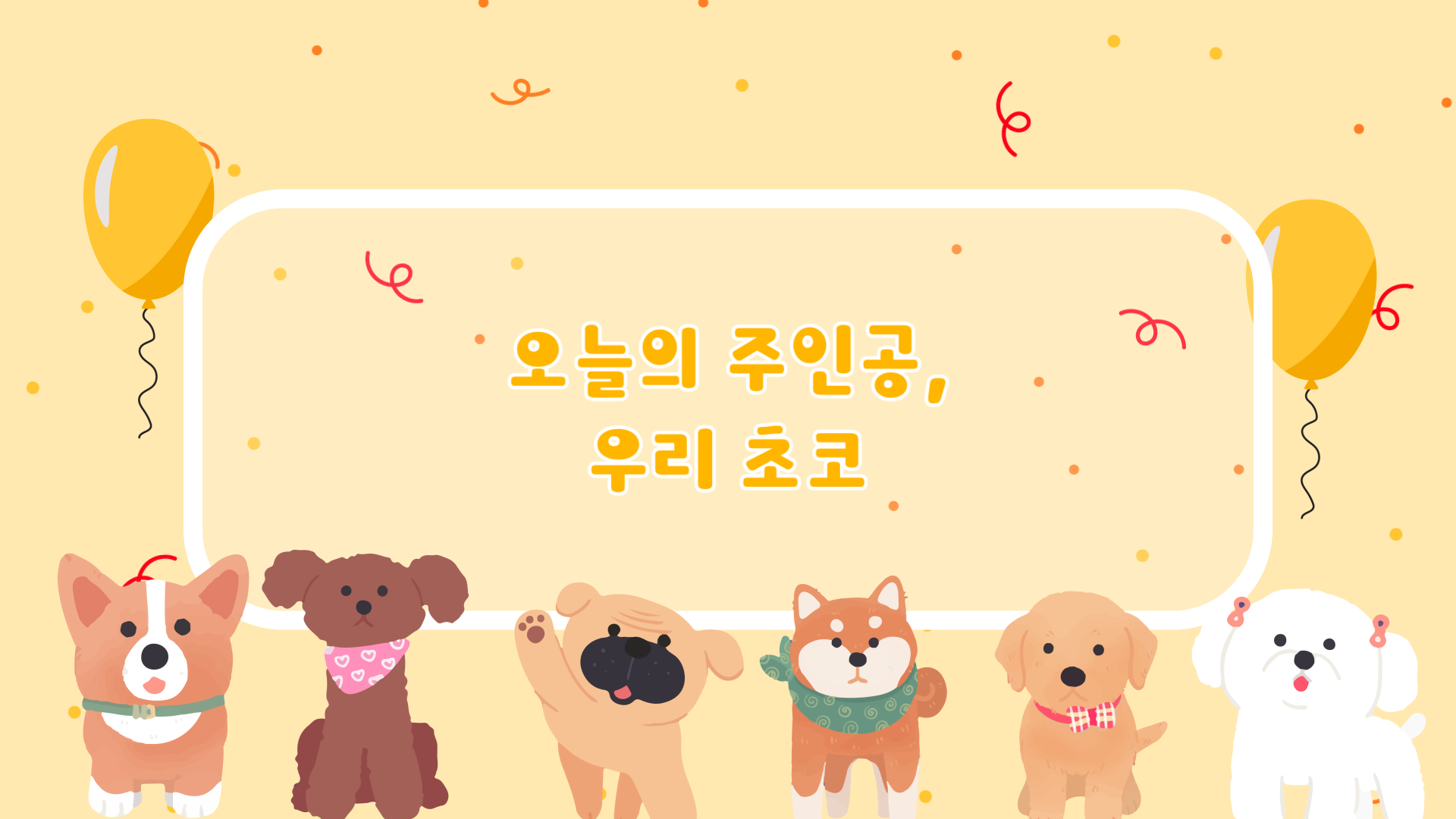 slide66 : 반려견 생일