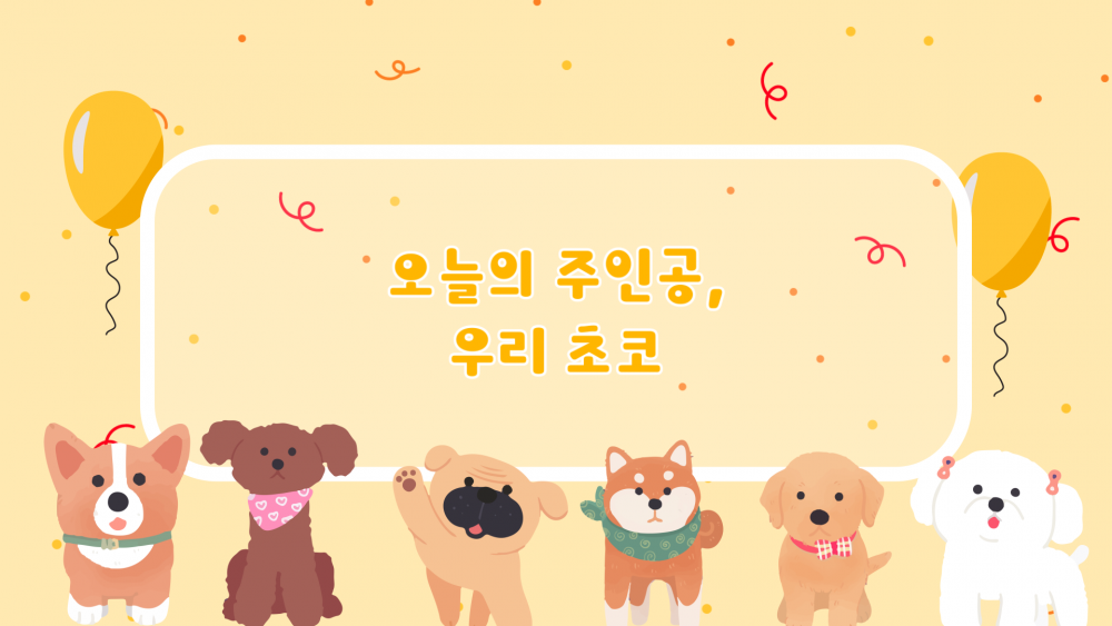 slide66 : 반려견 생일